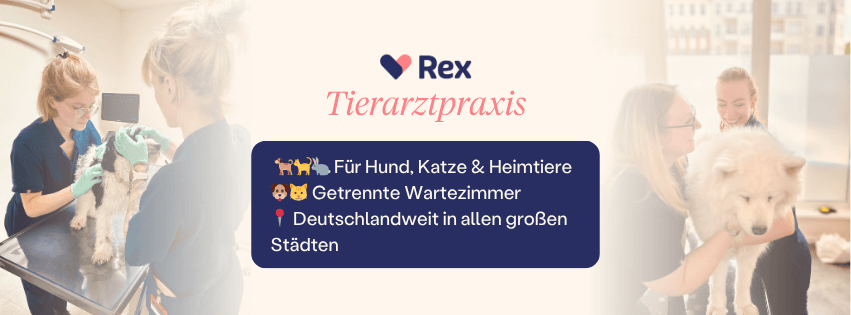 Modern Veterinary Clinic in Berlin, Hamburg, Munich, Cologne Germany Expert Pet Care in English & German Rex Vet